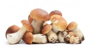 MUTRIA Funghi Porcini Interi 1Kg