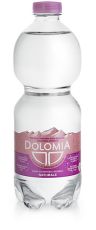 DOLOMIA Acqua Naturale 24x50cl PET
