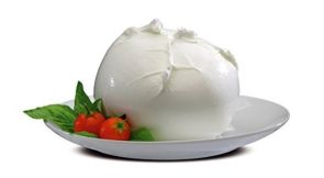 IOVINE Mozzarella di sola Bufala 500g FIX